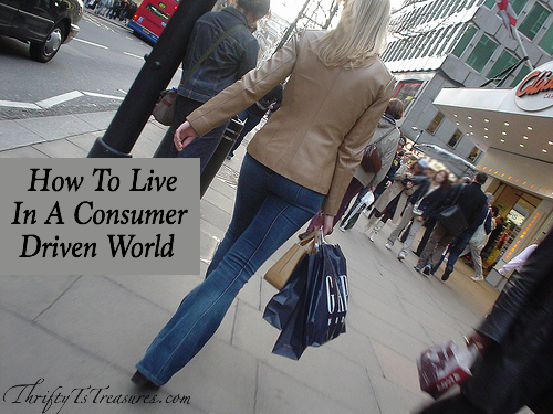 how to live in a consumer driven world