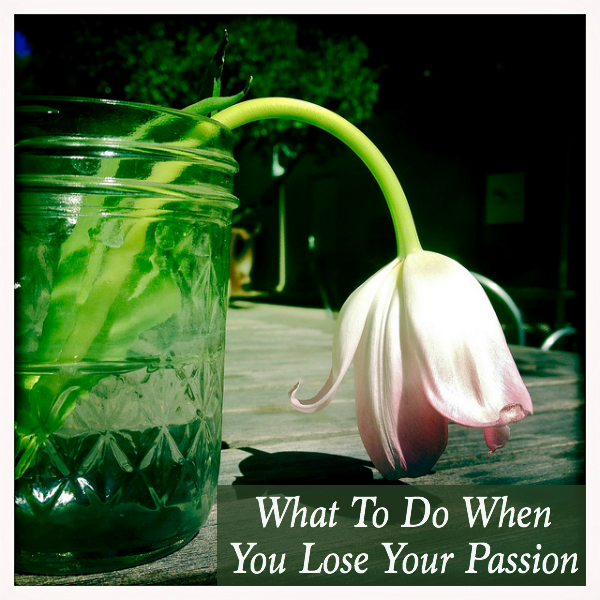 What To Do When You Lose Your Passion