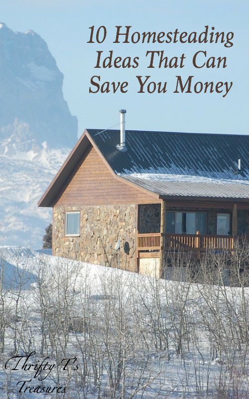 Whether you’re looking for tips on frugal living, skills to be more self sufficient, or just want to learn more about simple living, you’re going to love these homesteading ideas. These 10 hacks will teach you how homesteaders save money in practical ways. Stop by for all the details.