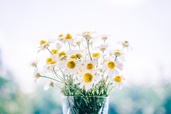 yellow and white flowers in a vase