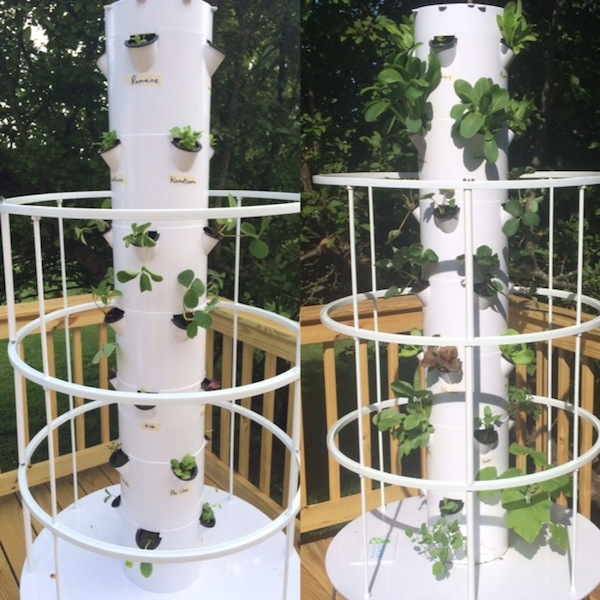 Yes, it is possible to garden anywhere. Even better this type of gardening makes it possible to grow in the summer and the winter. Come take a look and see for yourself!