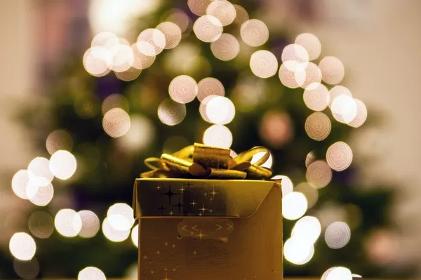 I'll be the first to admit that dealing with grief during the holidays is difficult. Whether you've lost a spouse, father, mother or sibling, may my encouragement and thoughts give you the strength you need to face the holidays. small gold christmas present in front of lighted christmas tree