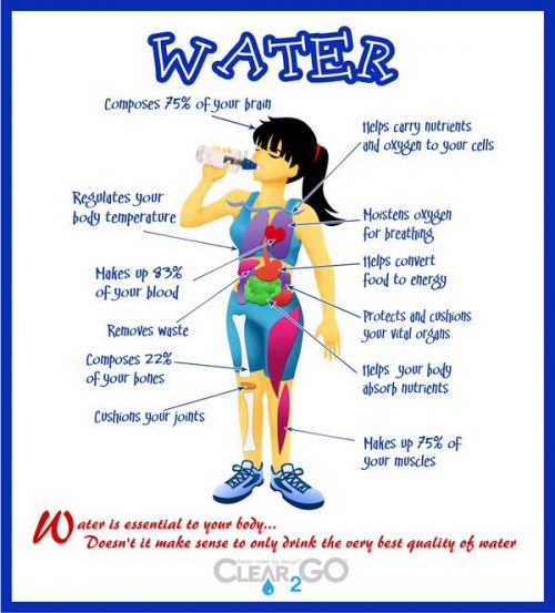 how-to-stay-hydrated-and-drink-more-water