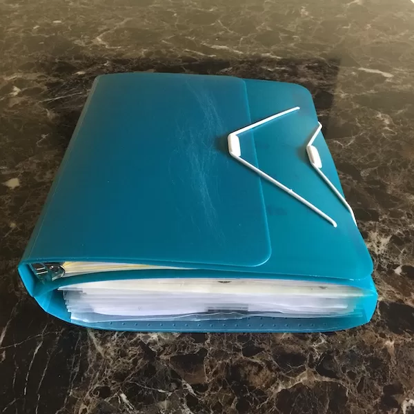 teal duo binder