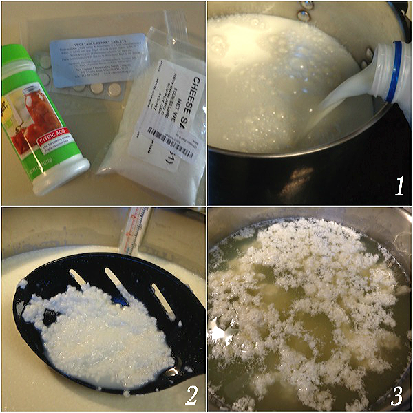 steps to make mozzarella cheese