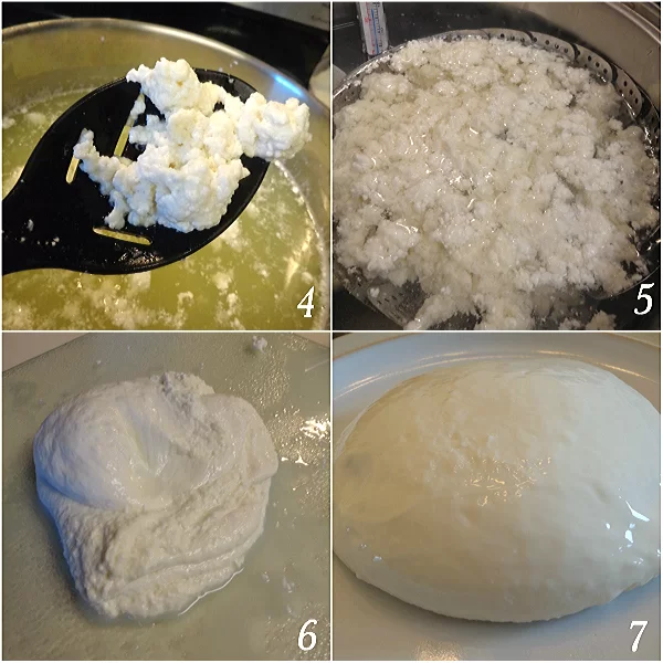 steps to make mozzarella cheese