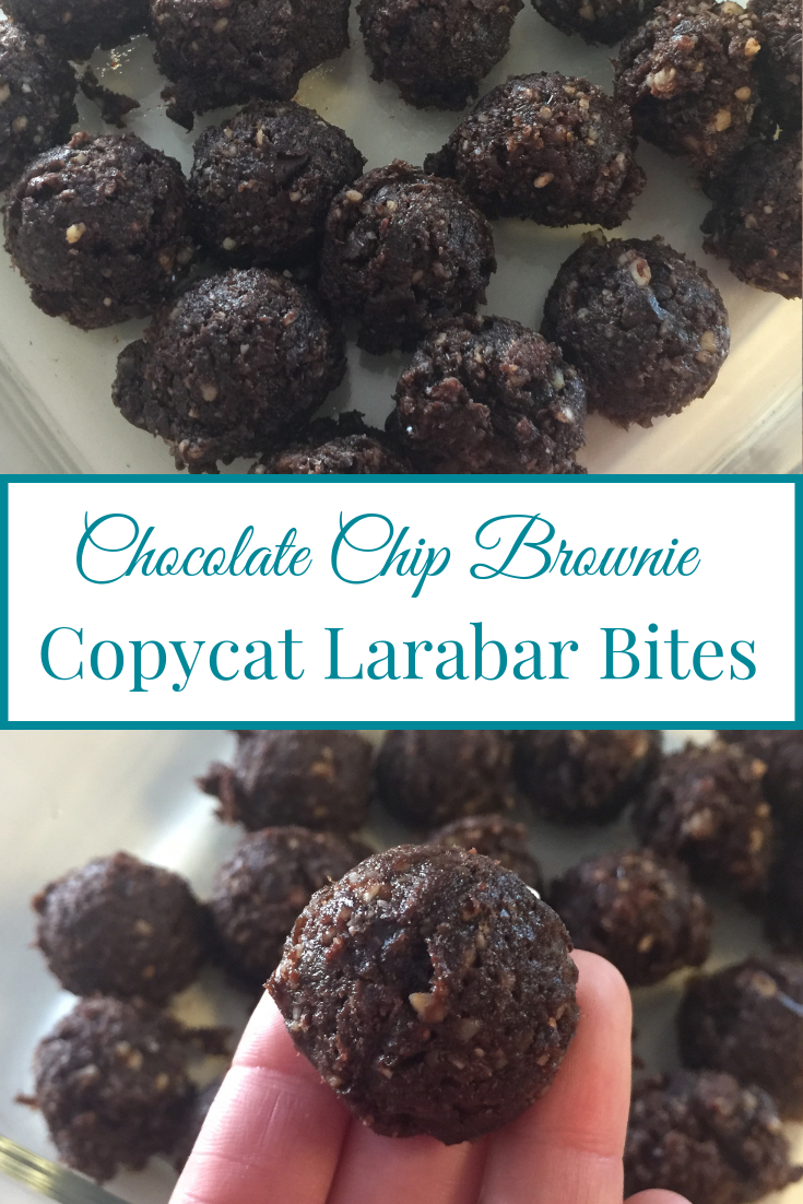 copycat chocolate chip brownie larabar bites tshanina peterson copycat chocolate chip brownie larabar