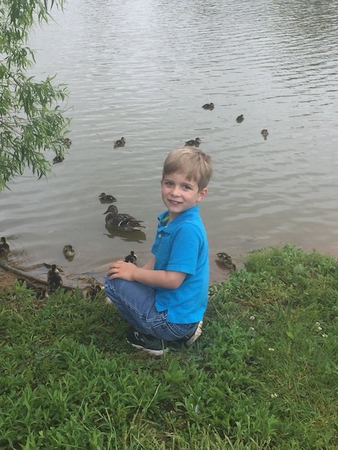 Dalton with ducks