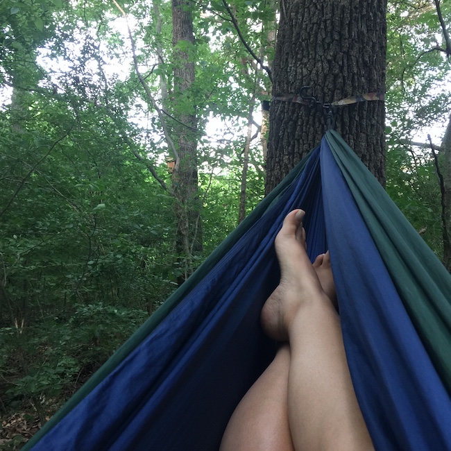 hammock in trees