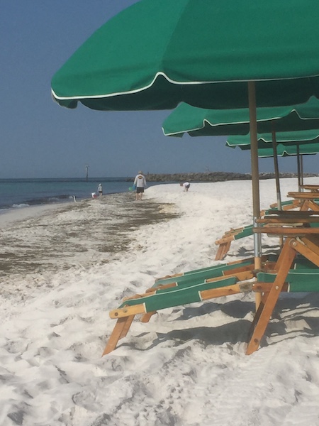 beach chairs on the beach