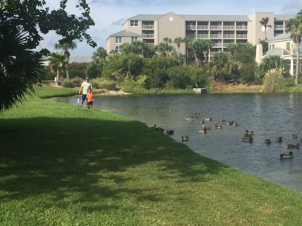 destin pointe duck pond