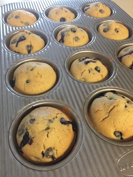 blueberry muffins in usa muffin pan