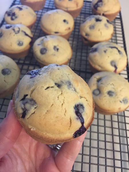 hand holding blueberry muffins