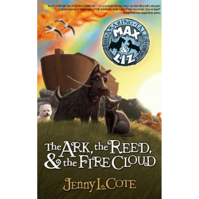 the ark, the reed, and the fire cloud by Jenny cote
