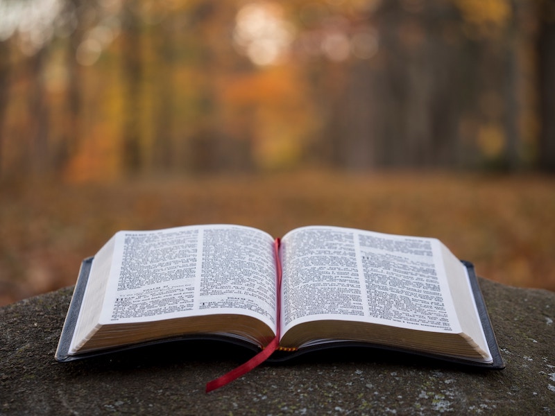 open bible sitting on a rock