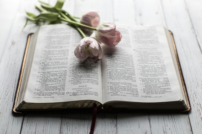 Open Bible with tulips on top, symbolizing the power of words in Scripture.