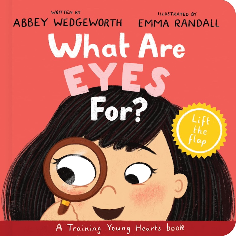 What Are Eyes For? - an interactive Christian book for toddlers