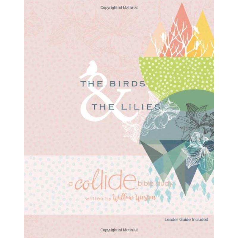 Cover of ‘The Birds and the Lilies’ by Willow Weston — a Christian devotional for women finding peace by trusting God over anxiety.